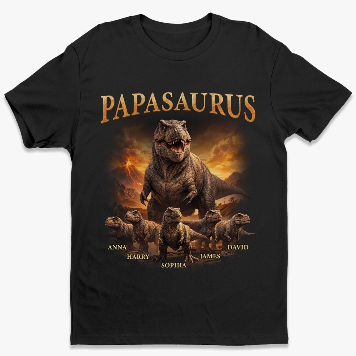 TS-HA0777_thumb-1