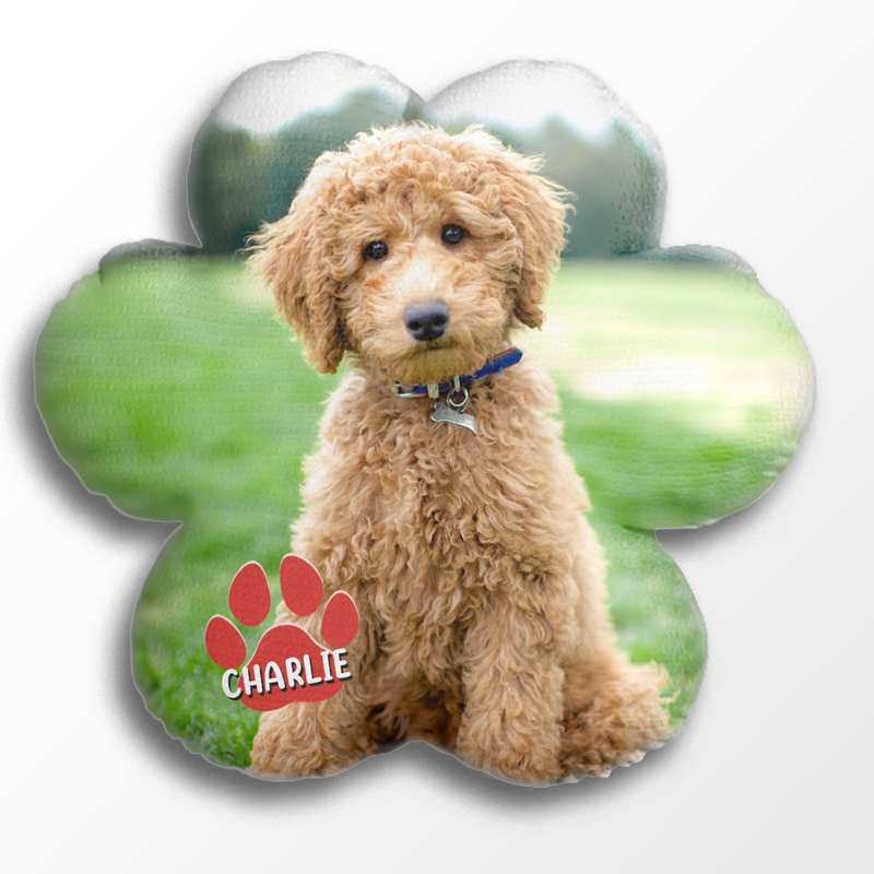 Custom Photo Dogs Own Space And Cats Own Time - Dog & Cat Personalized Custom Shaped Pillow - Gift For Pet Owners, Pet Lovers