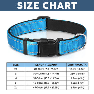 Dog Collar, Cat Collar - Upsell