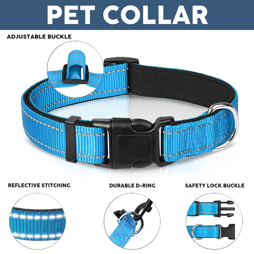 Dog Collar, Cat Collar - Upsell