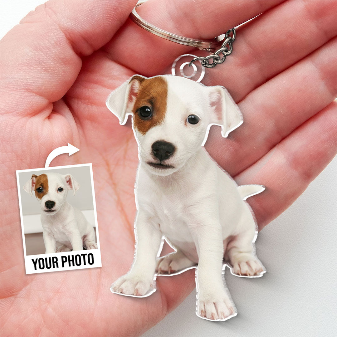 Custom Photo Acrylic Keychain - Personalized Birthday Gifts For Dog Cat Lovers, Dog Dad And Mom, Cat Owners - My Furry Friend Is My Holiday Cheer