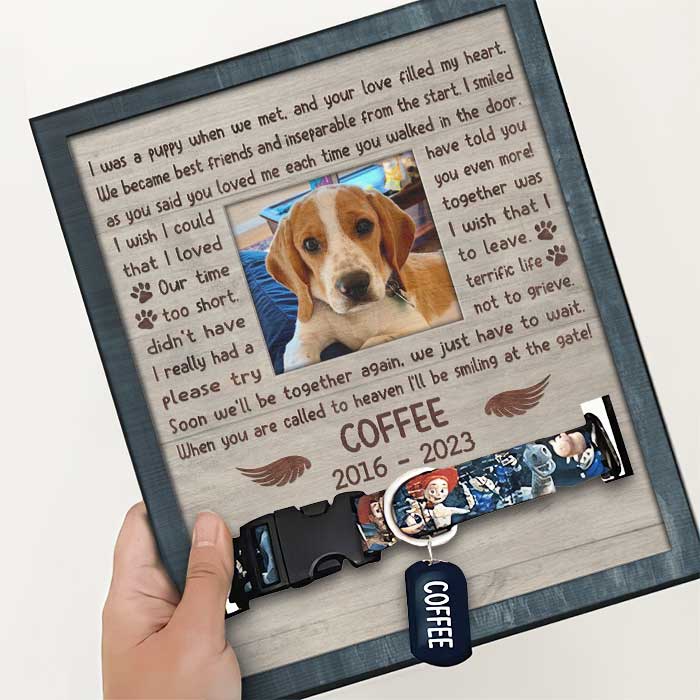11x9in Pet Collar Frame - Memorial Personalized Custom Pet Loss Sign - Pet Memorial Gifts, Dog Memorial Gifts For Loss Of Dog, Dog Memorial Picture Frame, Pet Memorial Frame